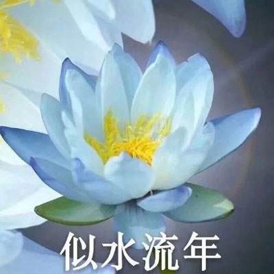 群星倾情献唱《紫荆花盛开》共庆香港回归27周年